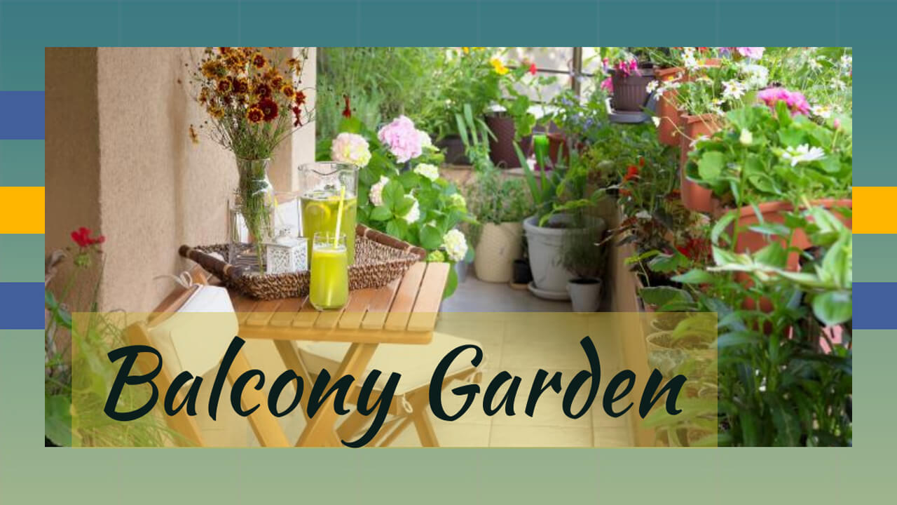 How to Design a Balcony Garden
