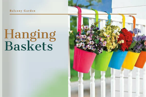 Hanging baskets
