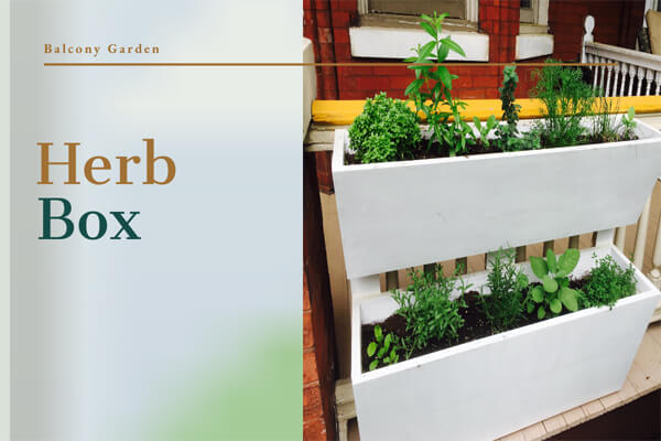 Herb Box