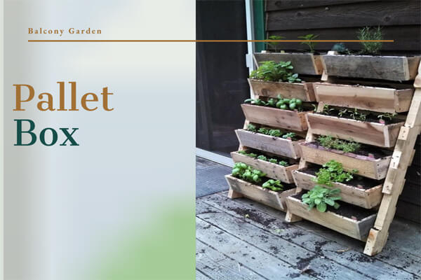 Pallet Box