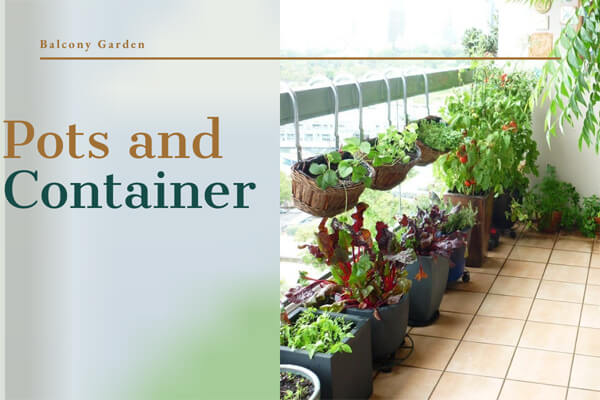 Pots and Containers