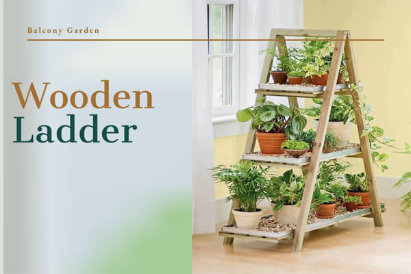 Wooden Ladder