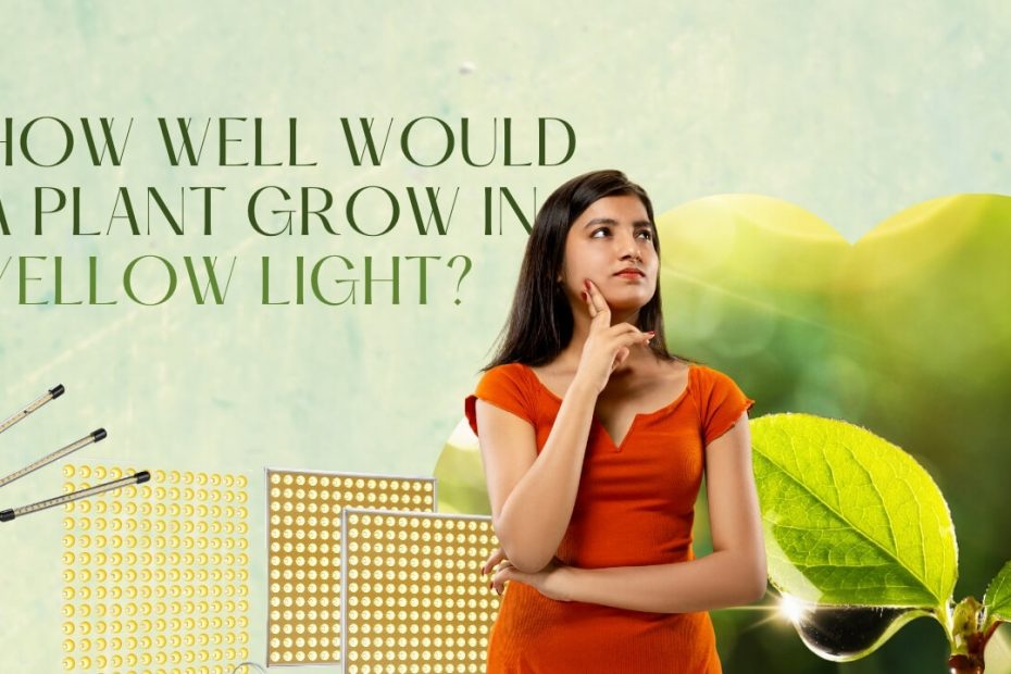 How well would a plant grow in yellow light