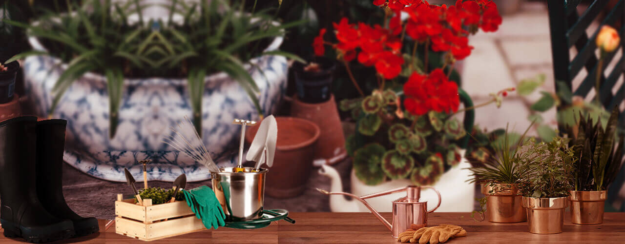 gardenfoster.com